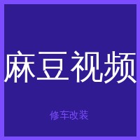 麻豆视频
